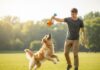 Healthy Feeding Habits for Dogs