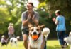 Managing Aggressive Dog Behavior