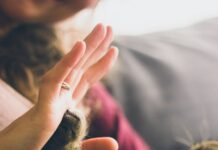 Best Age to Start Puppy Training