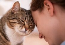 Why Dogs Need Daily Exercise